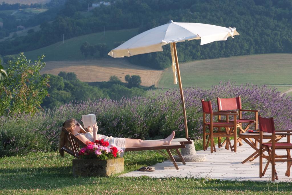 Agriturismo La Rosa Tea Villa Urbania Exterior foto